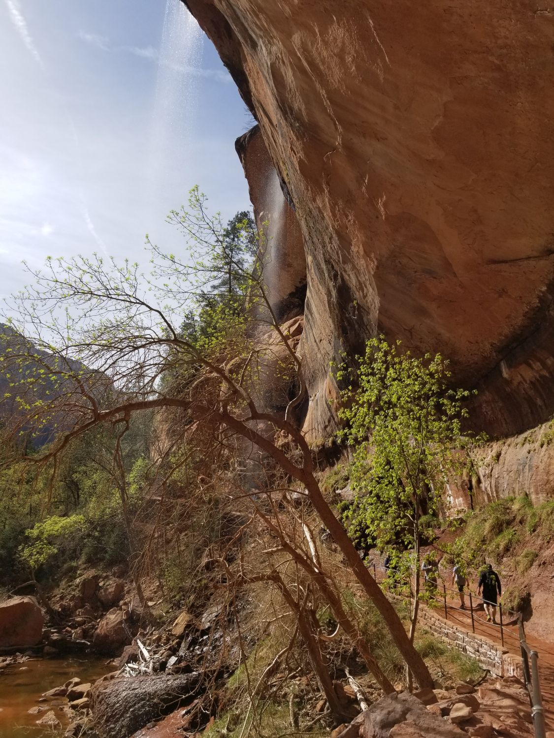 Lower & Upper Emerald & Kayenta Trails 